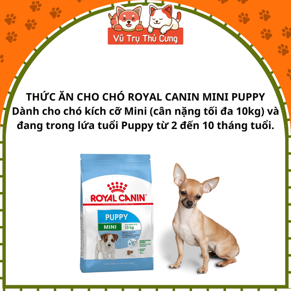 Thức ăn hạt Royal Canin Mini Puppy cho Chó con