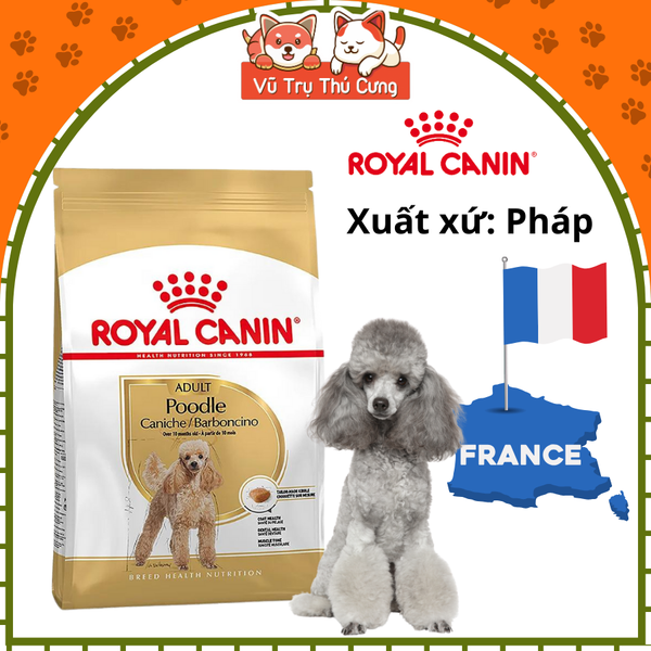 Hạt Cho Chó Trưởng Thành Royal Canin Poodle Adult
