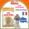 Hạt Cho Chó Trưởng Thành Royal Canin Poodle Adult