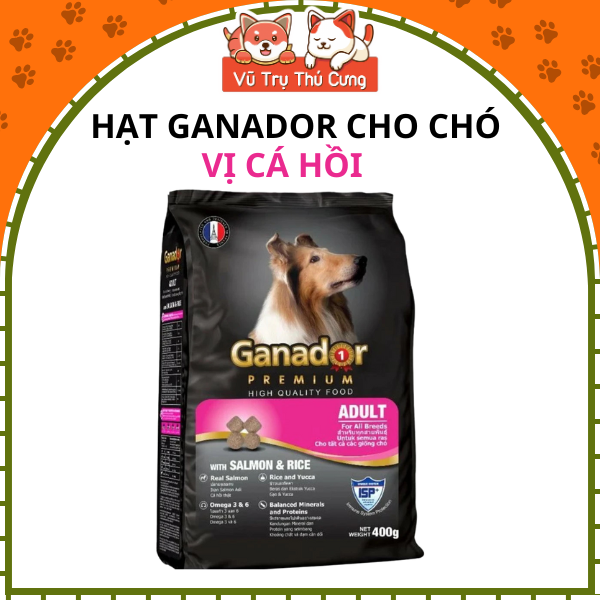 Hạt cho chó trưởng thành Ganador vị cá hồi 400g