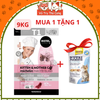 (9Kg) Thức Ăn Hạt Mister Donut T1 và T2 Dành Cho Mèo con, Mèo Trưởng Thành2