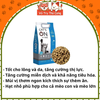 20Kg Thức Ăn Hạt Cat's On Cho Mèo Hàn Quốc (Bao xá)2
