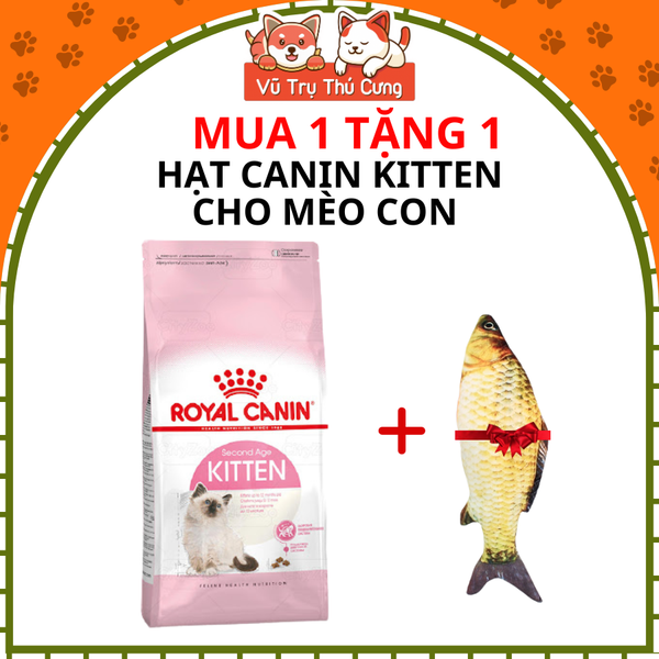 Thức ăn hạt Royal Canin Kitten dành cho mèo con