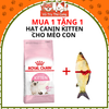 Thức ăn hạt Royal Canin Kitten dành cho mèo con
