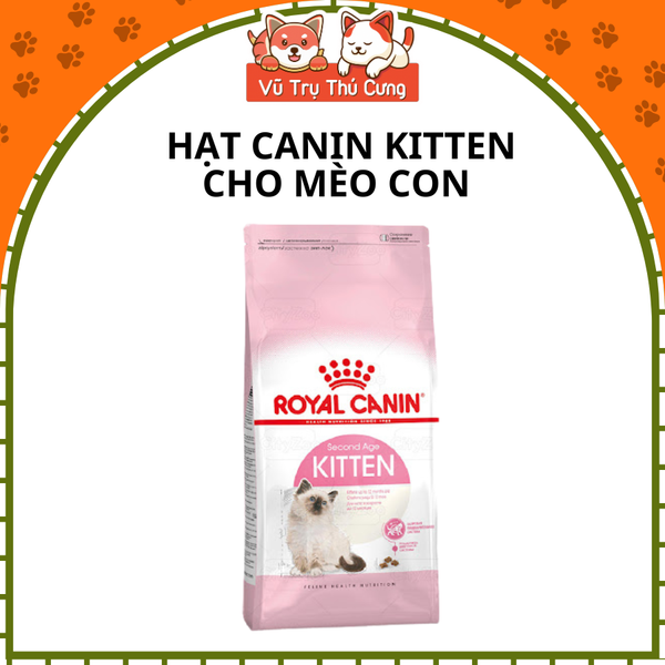 Thức ăn hạt Royal Canin Kitten dành cho mèo con