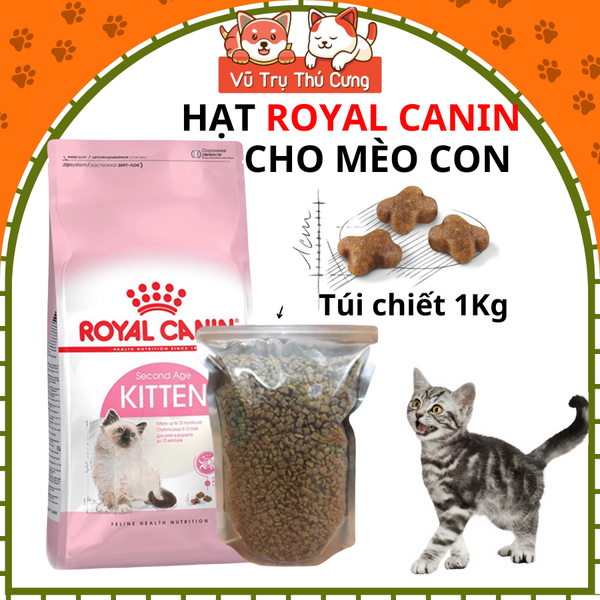 Thức ăn hạt Royal Canin Kitten dành cho mèo con