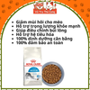 Hạt cho Mèo trưởng thành Royal Canin Indoor 500g/1kg2
