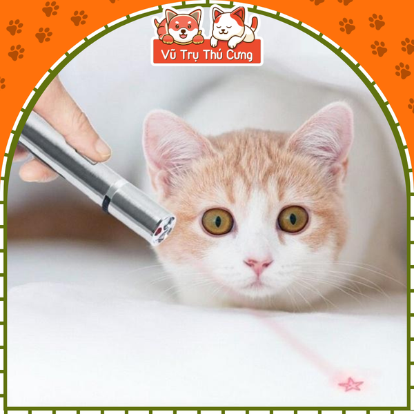 Đèn Laser trêu mèo, Đồ chơi đèn laze cho mèo giải toả căng thẳng
