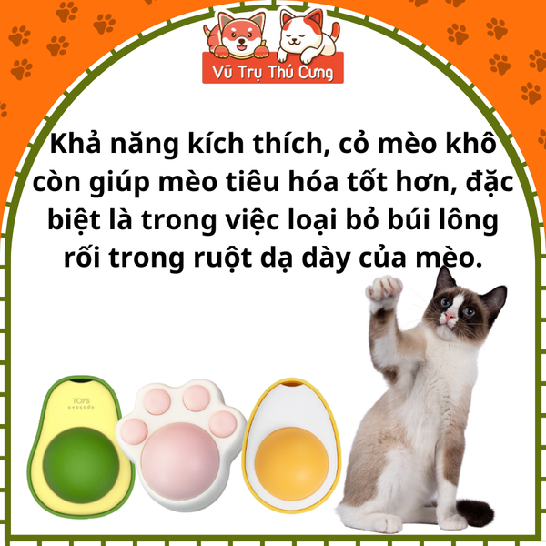 Kẹo cỏ mèo tiêu búi lông, giải toả căng thẳng, Đồ chơi cho mèo canip