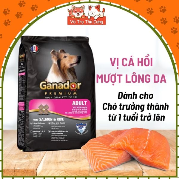 (3KG TẶNG 400G) Thức ăn hạt cho Chó con, Chó trưởng thành Ganador