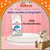 Thức Ăn Hạt Royal Canin Indoor Dành Cho Mèo Trưởng Thành