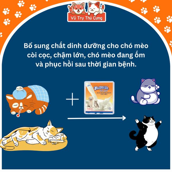 Sữa Bio Milk cho Chó Mèo 100g, cung cấp dinh dưỡng cho Mèo con