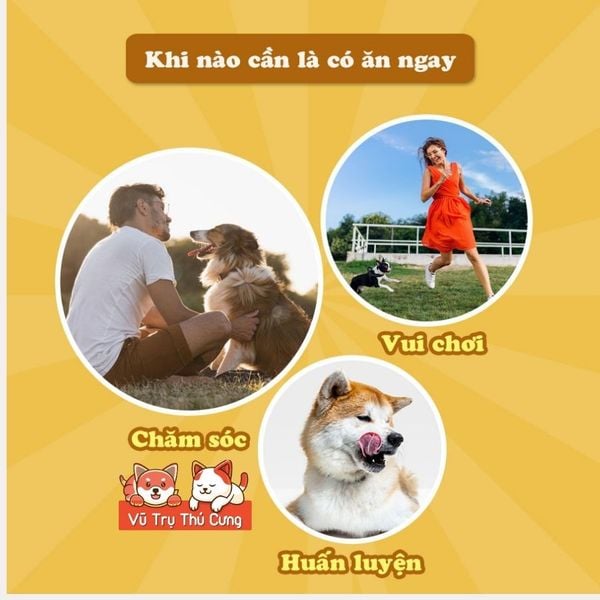 Snack Miếng gà sấy Doggy Man Nhật Bản cho Chó 90g