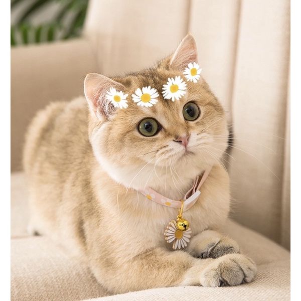 Vòng cổ Chó Mèo có chuông lục lạc kèm Charm Cute