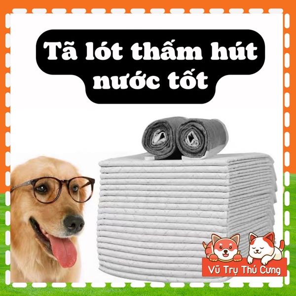 Tã lót chuồng than hoạt tính khử mùi cho thú cưng, thấm hút tốt