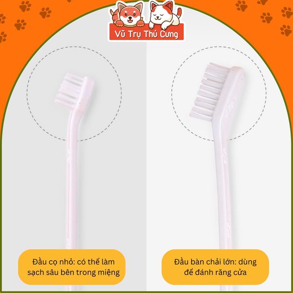 Kem đánh răng cho Mèo kèm bàn chải Bioline 50g, giúp làm sạch răng và giảm hôi miệng cho Mèo