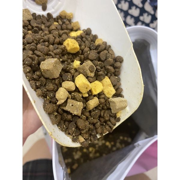 Hạt Mister Donut T1 dành cho Mèo con, mèo mẹ mang thai, gói 1,8Kg