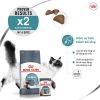 Hạt Cho Mèo Royal Canin Hairball Giúp Tiêu Búi Lông