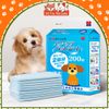 Tã lót chuồng vệ sinh cho Chó Mèo Honey Care Standard siêu thấm hút