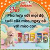 Súp thưởng Ciao Thái Lan cho Mèo, hộp 50 thanh đủ vị
