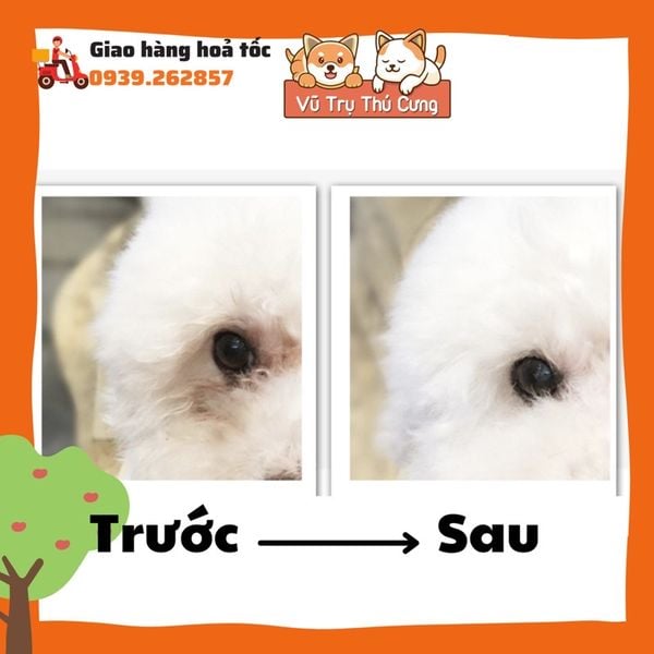 Khăn lau ố mắt, lau lỗ tai Chó Mèo l Vệ sinh mắt mũi tai Chó Mèo, Lau mắt cho mèo