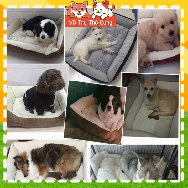 Nệm ngủ cho Chó mèo hoạ tiết cục xương hình chữ nhật