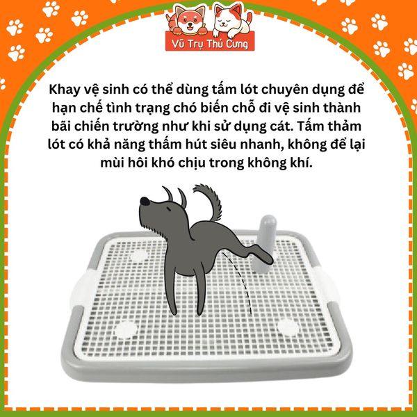 Khay vệ sinh cho Chó size 40x50cm, chất liệu nhựa siêu bền, nắp khóa chắc chắn