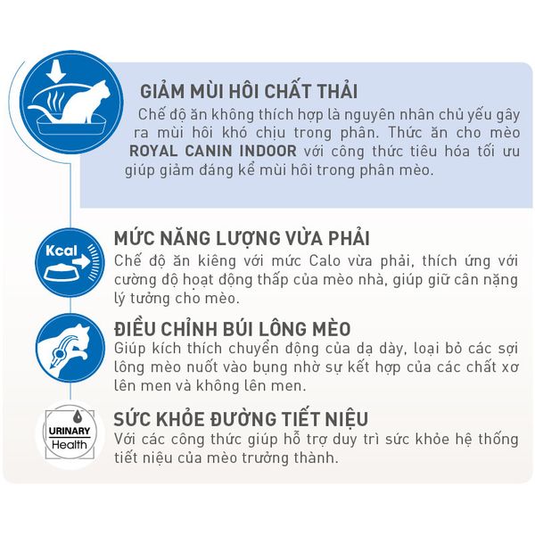 Thức Ăn Hạt Royal Canin Indoor Dành Cho Mèo Trưởng Thành