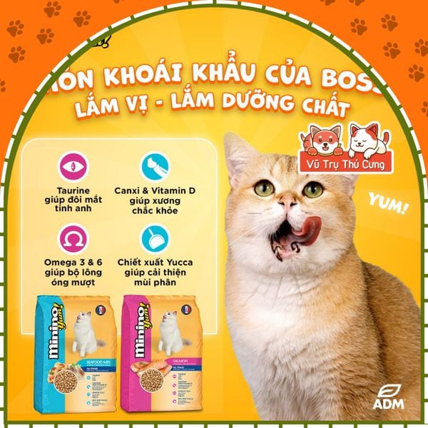 (1,5Kg) Thức ăn hạt cho mèo mọi lứa tuổi MININO YUM2
