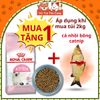 Thức ăn hạt Royal Canin Kitten dành cho mèo con