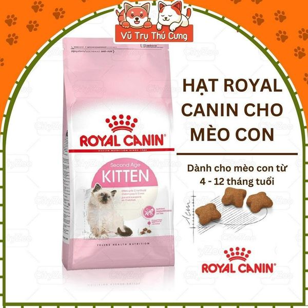 Thức ăn hạt Royal Canin Kitten dành cho mèo con