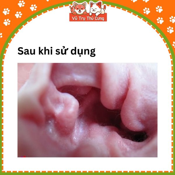 Bột nhổ lông tai Petis cho Chó Mèo 5g - Petis Ear Powder cho thú cưng