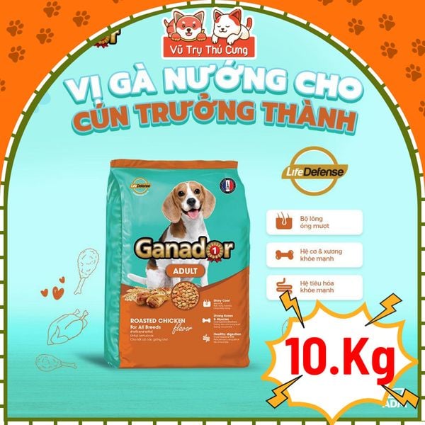 Thức Ăn Hạt Cho Chó Ganador Cung Cấp Nhiều Dinh Dưỡng 10kg