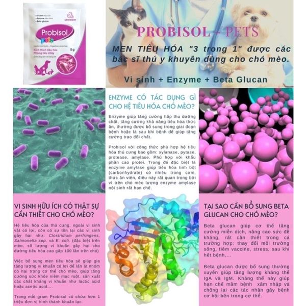 Men tiêu hoá cho Chó Mèo Thỏ Probisol Vemedim 5g
