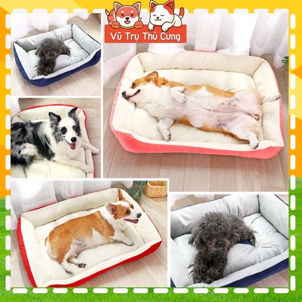 Nệm ngủ cho Chó mèo hoạ tiết cục xương hình chữ nhật