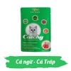 Pate 5Plus Catchy cho Mèo Nhiều Dinh Dưỡng 70g
