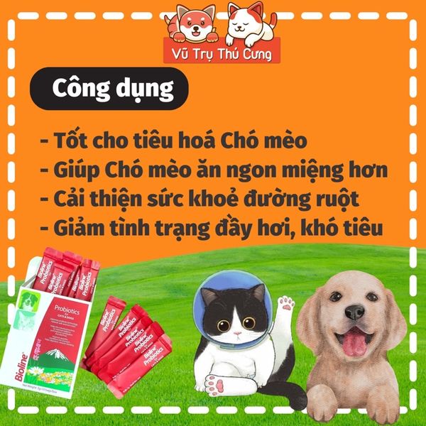 Men tiêu hoá cho Chó mèo Bioline 3g, giúp mèo ăn ngon miệng hơn