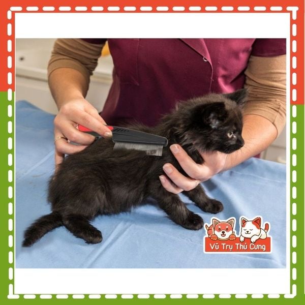 Lược chải ve rận Taotaopets size 18cm