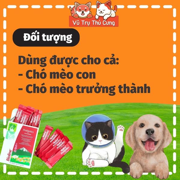 Men tiêu hoá cho Chó mèo Bioline 3g, giúp mèo ăn ngon miệng hơn