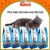 (Có quà tặng) Thức ăn hạt cho mèo mọi lứa tuổi Cat’s On 1kg