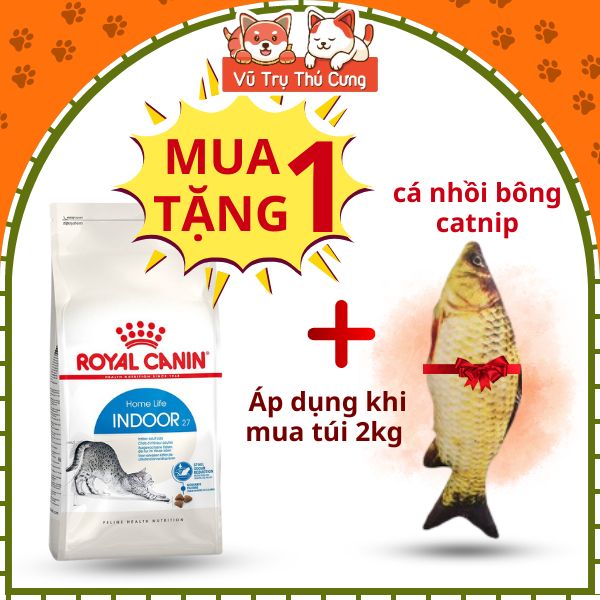 Thức Ăn Hạt Royal Canin Indoor Dành Cho Mèo Trưởng Thành