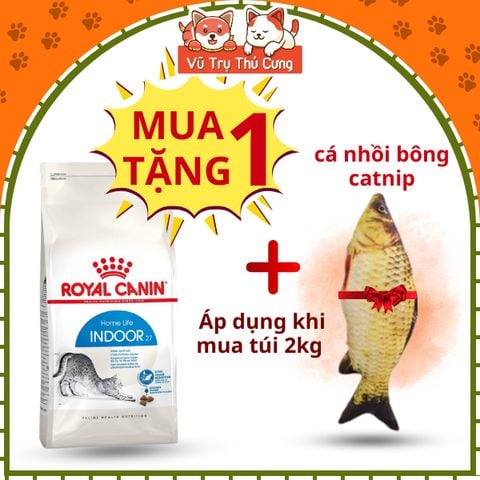 Thức Ăn Hạt Royal Canin Indoor Dành Cho Mèo Trưởng Thành