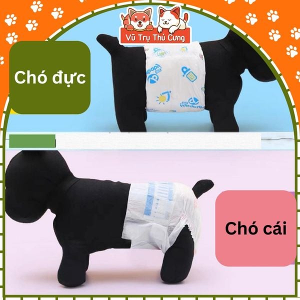 Bỉm cho chó Kamt, Tã quần cho chó cái và chó đực siêu thấm hút 10 miếng