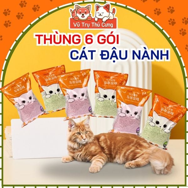 (Thùng 6 túi) Cát đậu nành Pura Acropet 5L dành cho mèo con