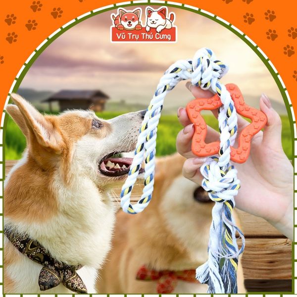 Đồ Chơi Cho Chó Mèo Gặm Sạch Răng & Huấn Luyện