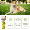 Đồ Chơi Cho Chó Combo 2 Bóng Tenis Gặm Và Huấn Luyện FOFOS