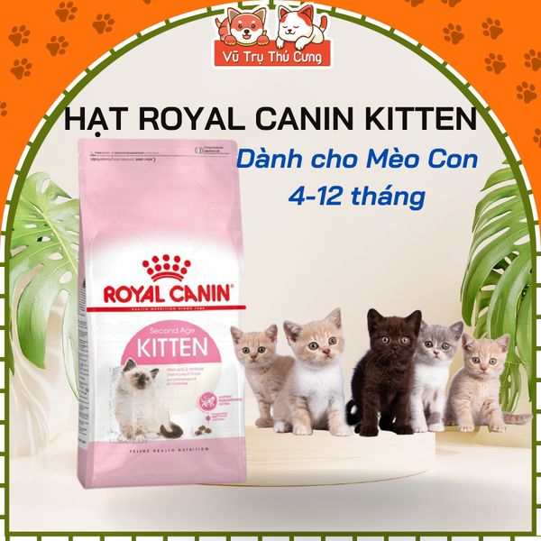 Thức ăn hạt Royal Canin Kitten dành cho mèo con