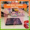 Chuồng sắt vân đá tĩnh điện nan dày không gỉ cho Chó mèo size vừa