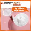 Bát Ăn Đôi Cho Thú Cưng Có Bình Nước Tự Động, Chống Gù Lưng