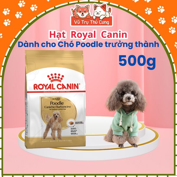 Hạt Cho Chó Trưởng Thành Royal Canin Poodle Adult